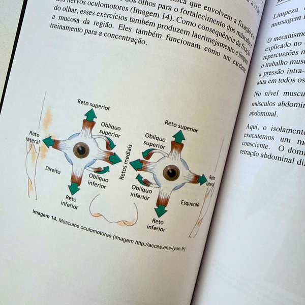Um outro olhar sobre a performance - imagen 2